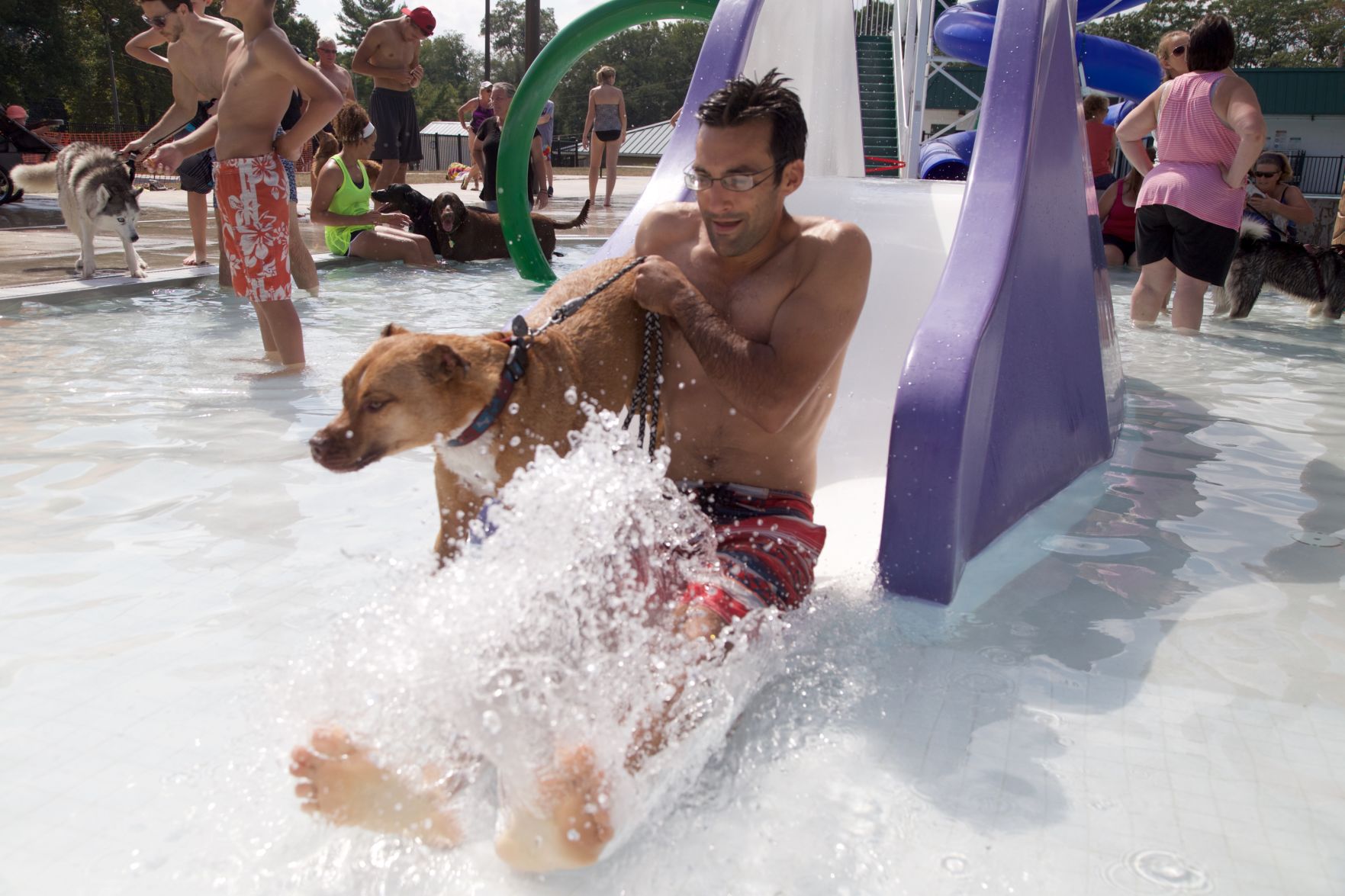 Ephrata Doggie Swim